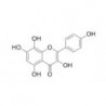Structure of 527-95-7 | 20mg