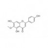 Structure of 1447-88-7 | 10mg