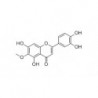 Structure of 520-11-6 | 20mg