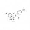 Structure of 520-18-3 | 20mg
