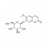 Structure of 531-44-2 | 20mg