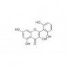 Structure of 92519-95-4 | 5mg