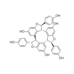 Structure of 62218-13-7 | 5mg