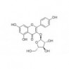 Structure of 5041-67-8 | 5mg