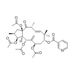 Structure of 244277-75-6 | 5mg