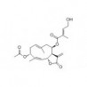 Structure of 89913-53-1 | 5mg