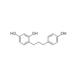 Structure of 376361-97-6