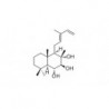 Structure of 70387-38-1