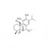 Structure of 113085-62-4