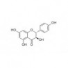 Structure of 480-20-6 | 5mg