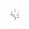 Structure of 207446-90-0