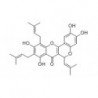 Structure of 1174017-37-8