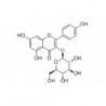 Structure of 480-10-4 | 20mg