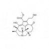 Structure of 385384-29-2