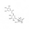 Structure of 262350-51-6