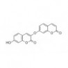 Structure of 120028-43-5