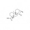 Structure of 77658-45-8