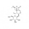 Structure of 118627-52-4