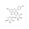 Structure of 17297-56-2 | 5mg