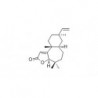 Structure of 221456-63-9