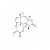 Structure of 16503-32-5 | 10mg