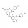 Structure of 220611-41-6