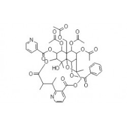 Structure of 259823-31-9