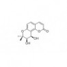 Structure of 24144-61-4