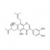 Structure of 874303-33-0