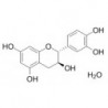 Structure of 7295-85-4 | 20mg