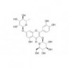 Structure of 18016-58-5