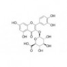 Structure of 22688-79-5