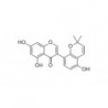 Structure of 117204-81-6