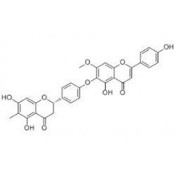 Structure of 509077-91-2