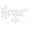Structure of 271579-11-4