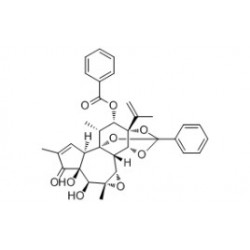 Structure of 1236874-00-2