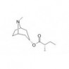 Structure of 495-82-9