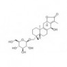 Structure of 830347-18-7