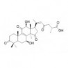 Structure of 110241-23-1
