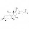 Structure of 102607-24-9
