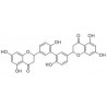 Structure of 145399-99-1