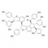 Structure of 174916-31-5