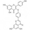 Structure of 343569-15-3