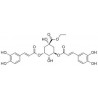 Structure of 143051-74-5