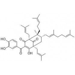 Structure of 666174-75-0