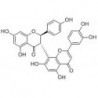 Structure of 16851-21-1
