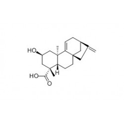 Structure of 2β-Hydroxygrandiflorenic acid