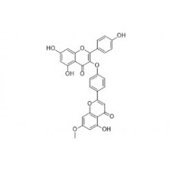 Structure of 7''-O-Methyldelicaflavone