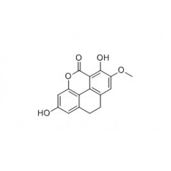 Structure of 121817-24-1