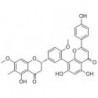 Structure of 1013649-09-6